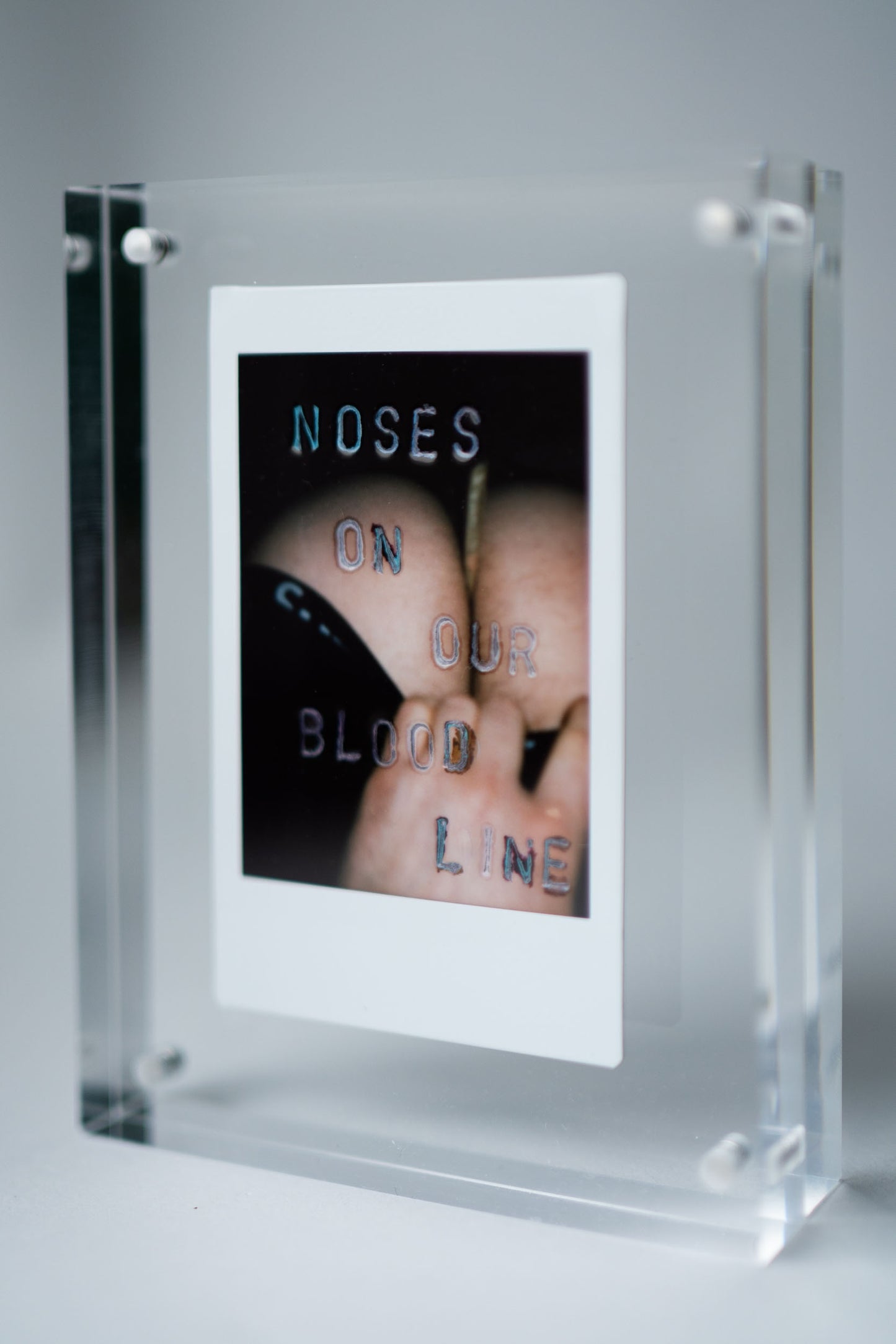 'Noses On Our Blood Line' Original Polaroid