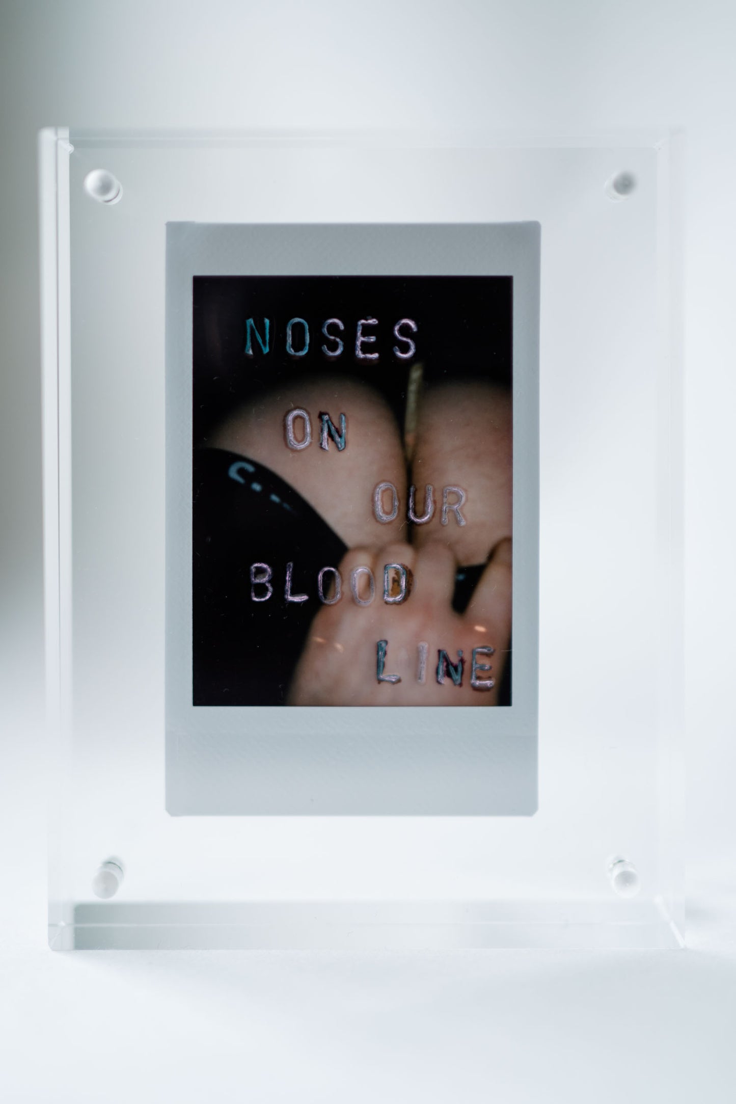 'Noses On Our Blood Line' Original Polaroid